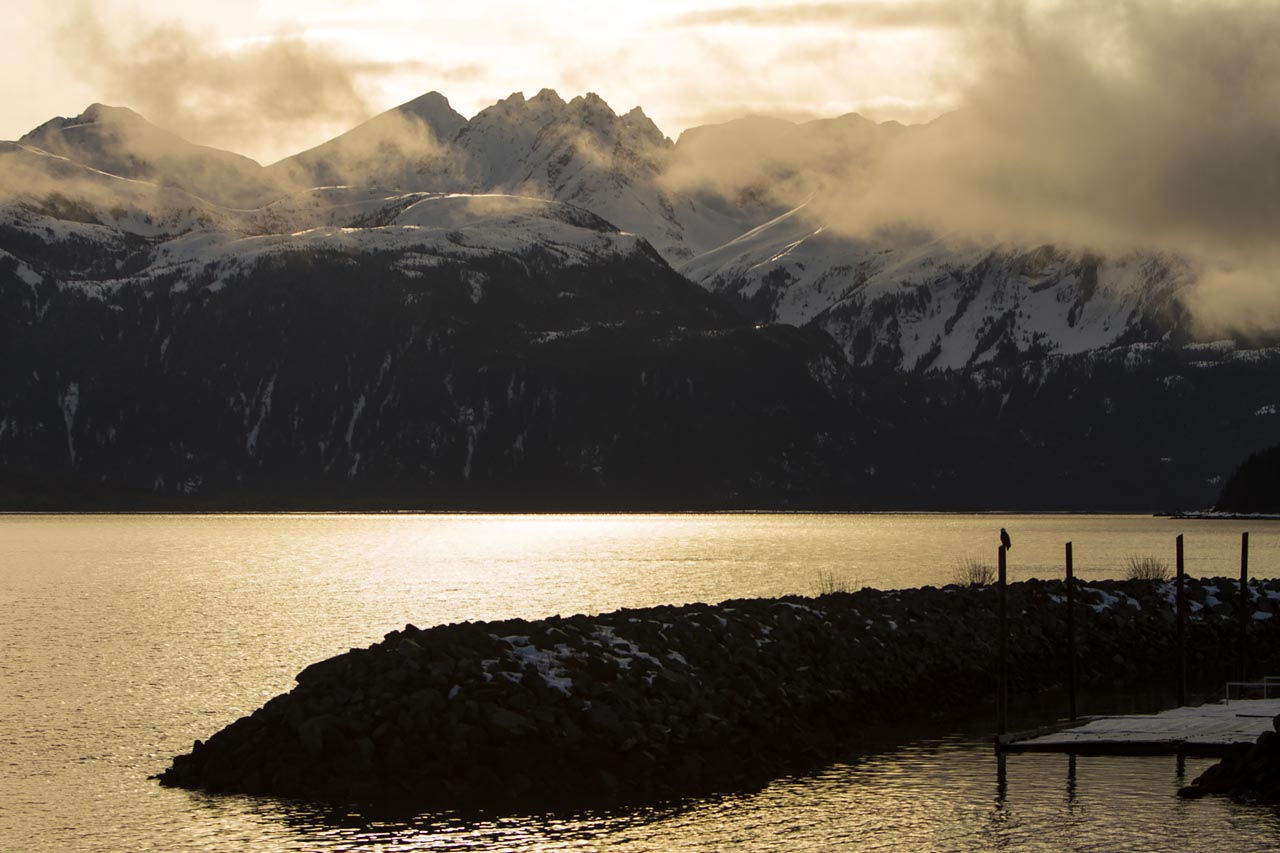 Alaskan Adventure